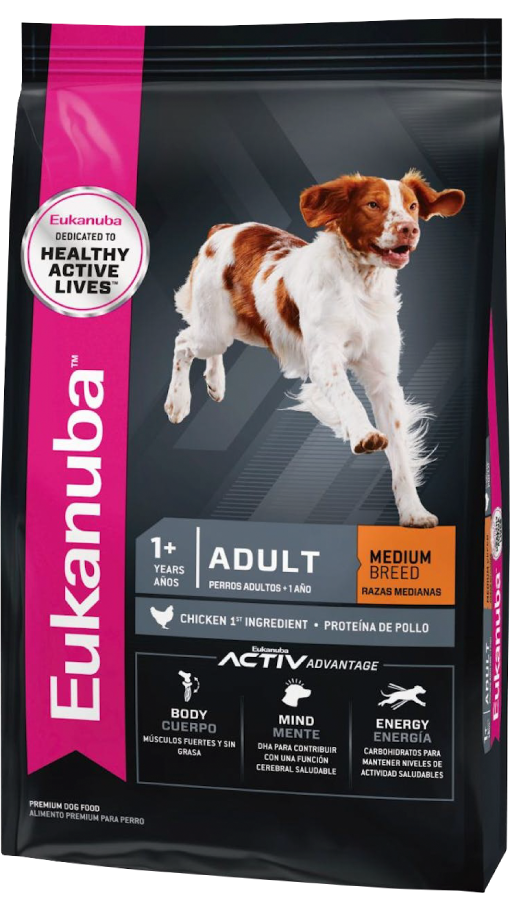 excellent gato adulto nuevo